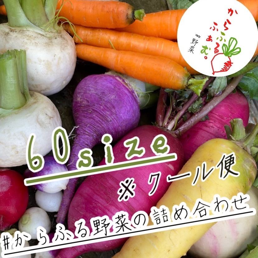 岩手県産 新鮮野菜の詰め合わせ 60サイズ ⚠︎クール便⚠︎ おまかせ野菜BOX - メルカリ