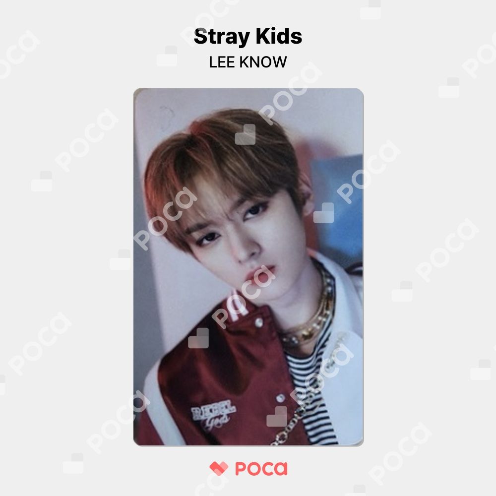 straykids リノ スキズ トレカ STRAY KIDS x SKZOO POP-UP STORE