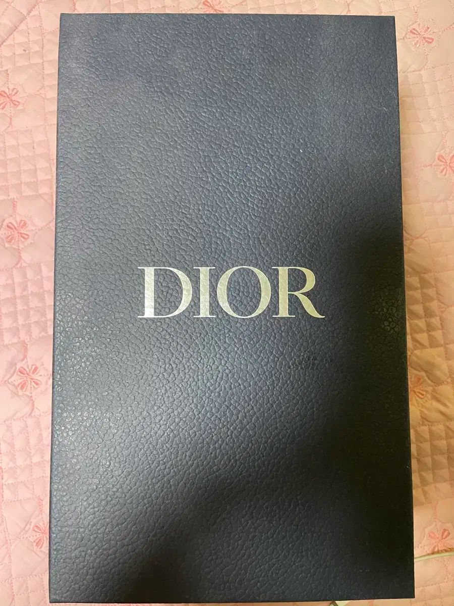 【雷市場（ポンジャン）商品韓国直送】 DIOR(ディオール) オブリーク スニーカーズ