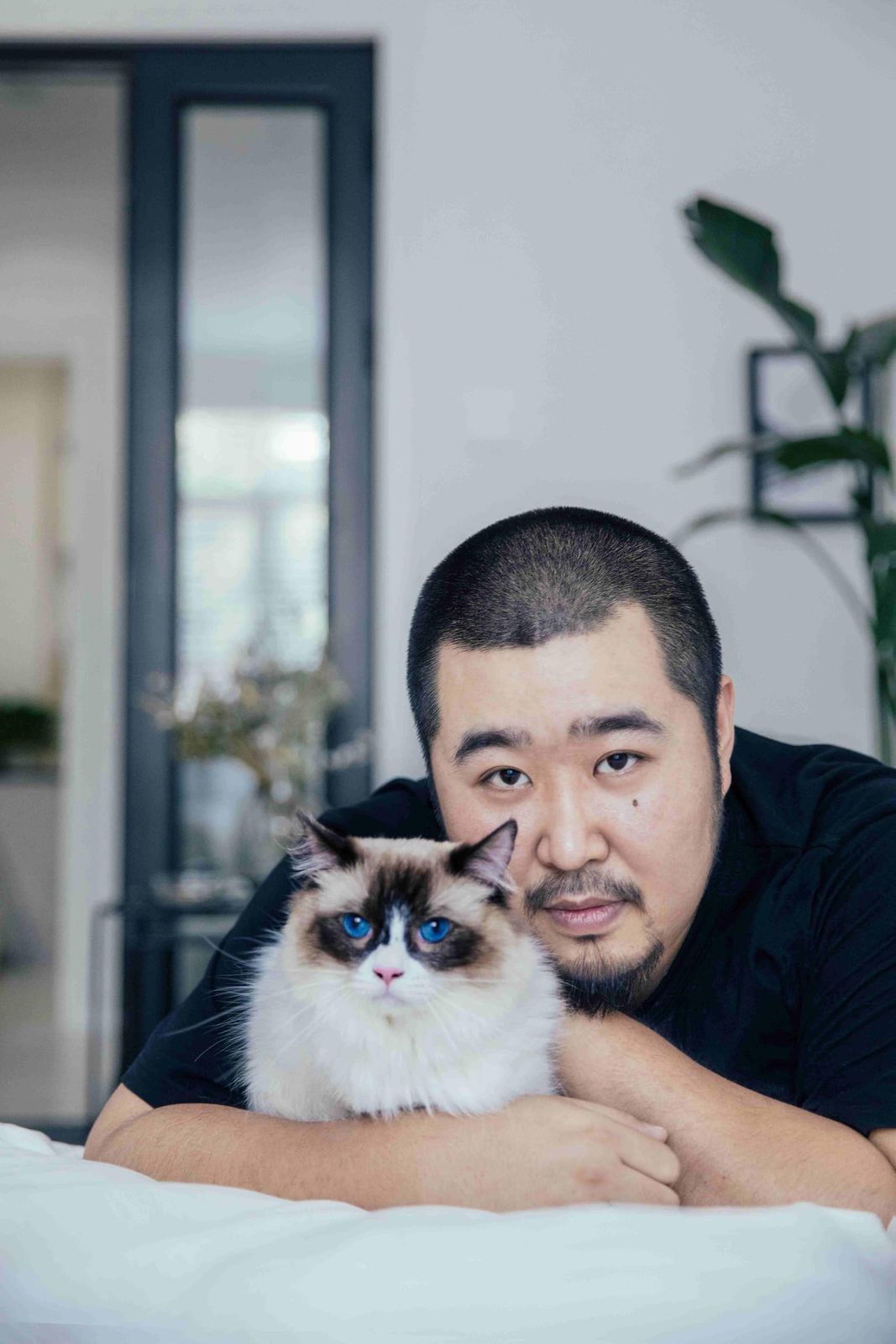 新品未開封】安和橋北（LP） [Analog] 宋冬野 形式: レコード