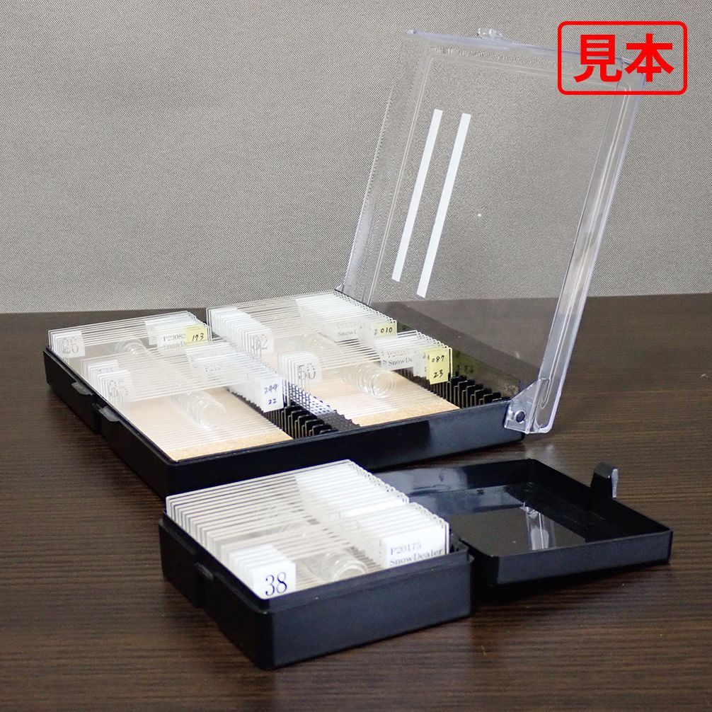 める⑤ ヴァイスシュヴァルツ ホロライブ vol2 沙花叉クロヱ サイン入り