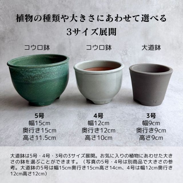 種類3 5号