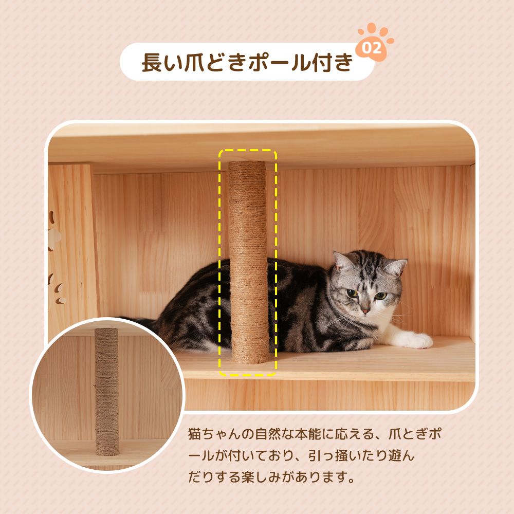 ワイド 多頭飼い
