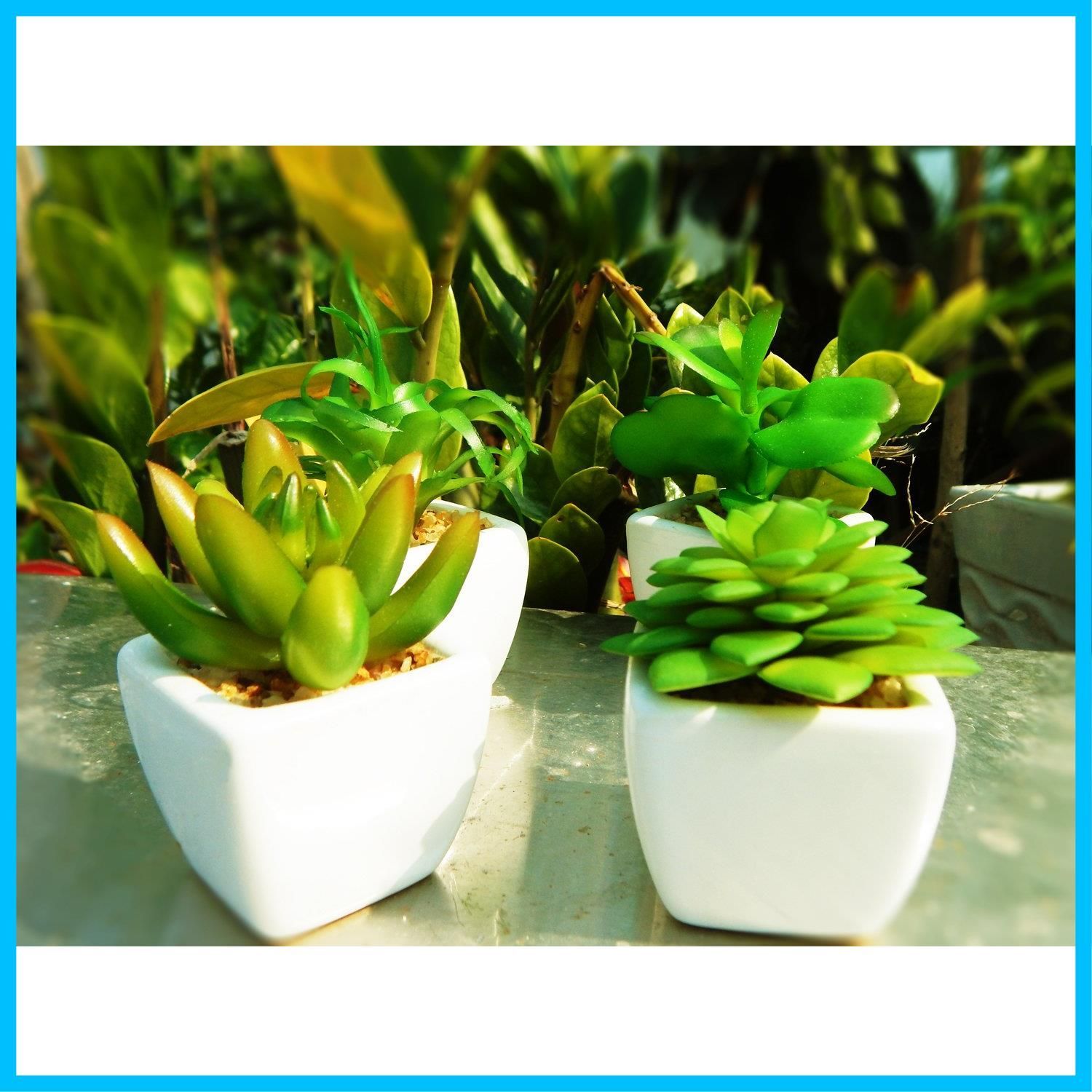 人工多肉植物 ミニ TOSSOW 人工観葉植物 造花 枯れない インテリア 4点セット 正方形 プレゼント
