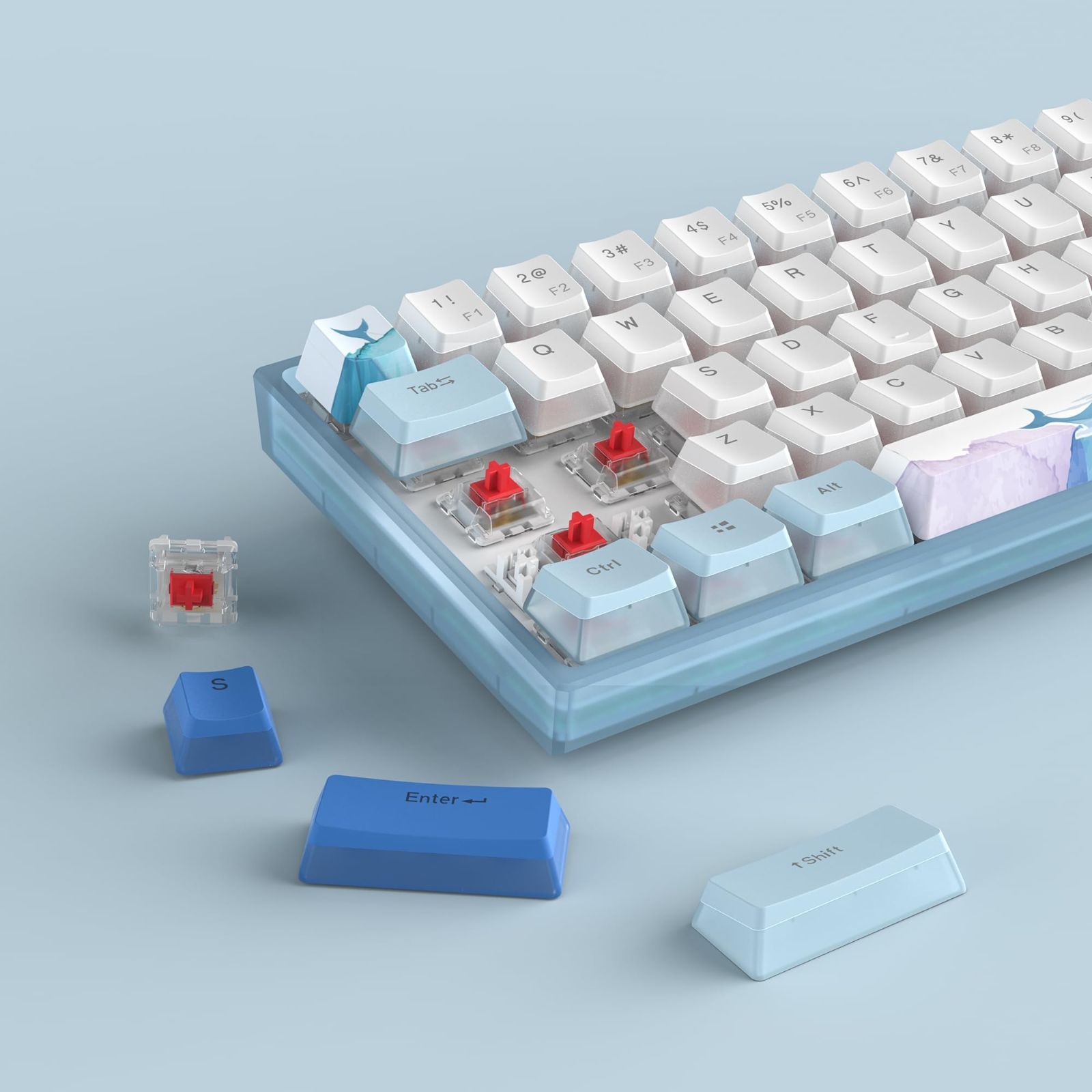 812FrjBPdlL._AC_UF1000,