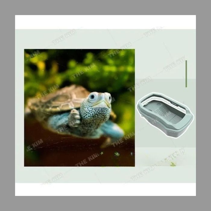 亀用大型水槽 脱出防止ケージ 爬虫類 ボックス 滑り止め付き休憩プラットフォーム水族館デザイン亀の楽園