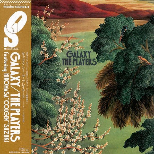 マドンナ Play With Me 限定 LP レコード マドンナ Play With Me