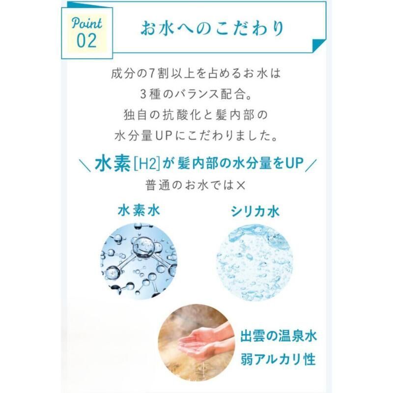 【新品】【正規品】ストリ エクスチェンジ プラス H2 シャンプー 300ml