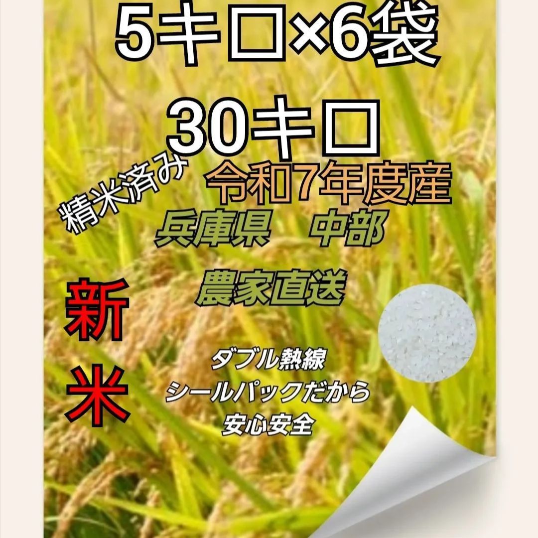 コシヒカリ 30キロ 兵庫県 精米済み 令和7年度産 農家直送 単一原料米