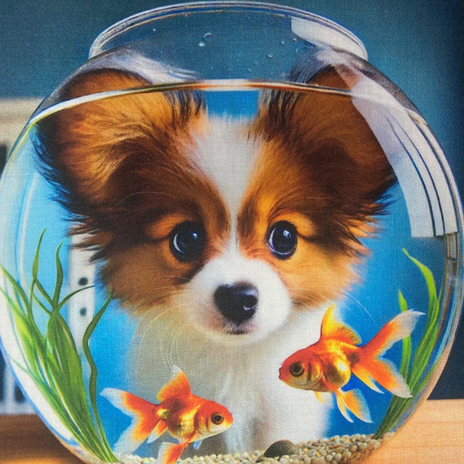 可愛いパピヨンのパネル生地 パピヨン 犬服 ハンドメイド パネル 可愛いパピヨンのパネル生地 パピヨン 犬服 ハンドメイド パネル