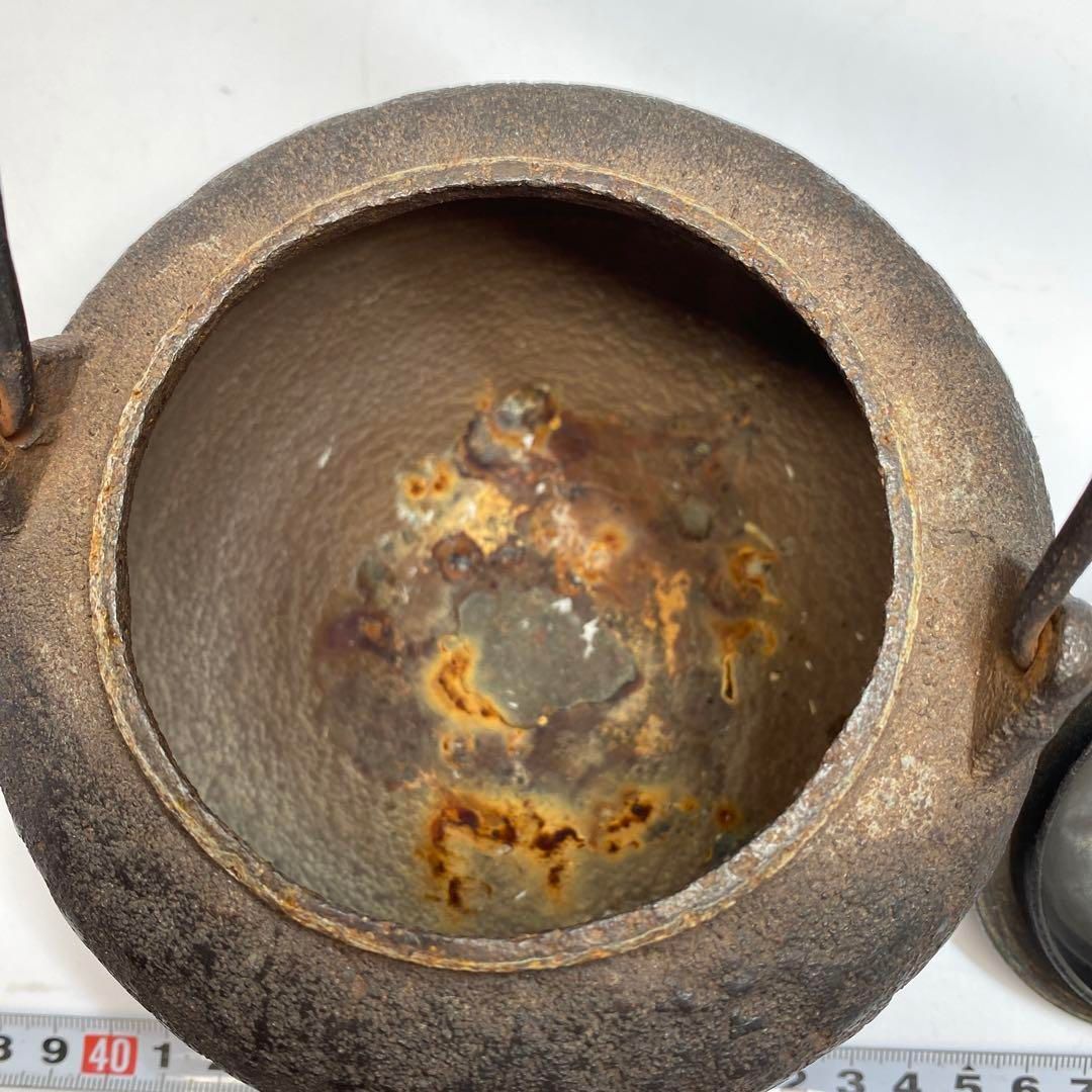 東Y6-0531 トコヒ