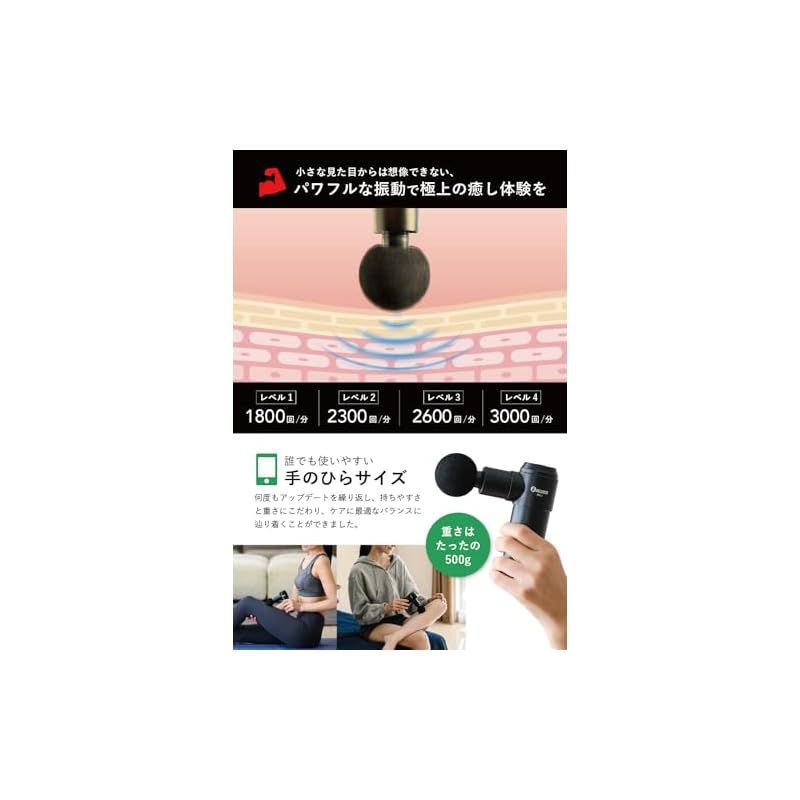 新品未使用 フランスベッド プレミアムリリース ウォームアンドクール