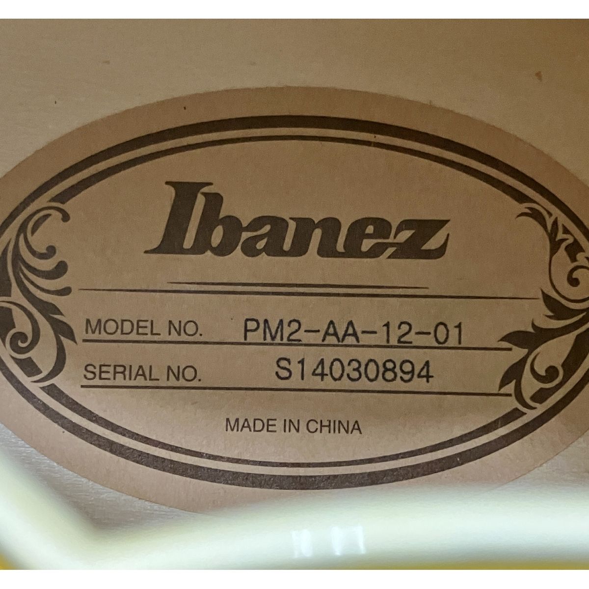 Ibanez PM2-AA-12-01 2014年製造 Pat Methenyモデル フルアコースティックギター フルアコ 中古 Y9182932 -  メルカリ