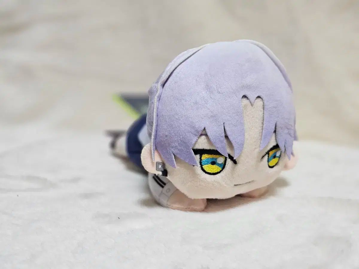【新作登場，100%新品】 18trip Aツリー カフカ(Kafka) 寝そべり ぬい その他