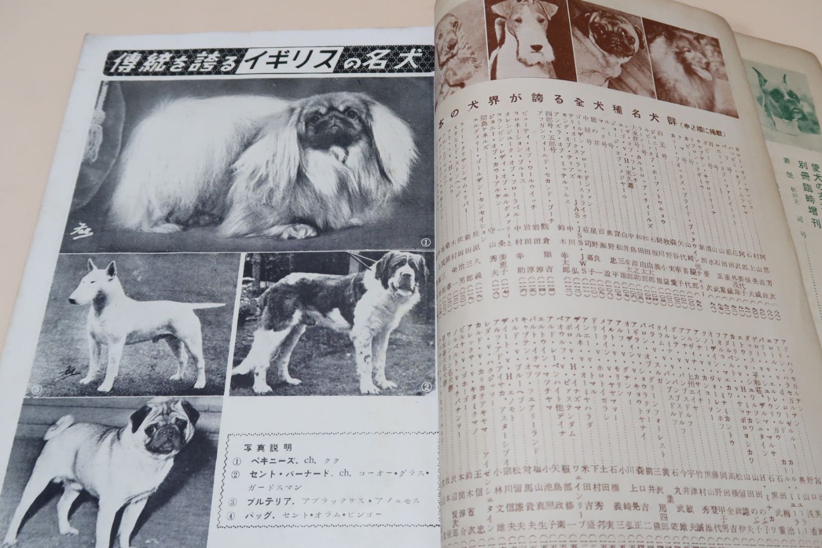 日本名犬写真大観・愛犬の友臨時増刊/昭和29年/日本の犬界が誇る