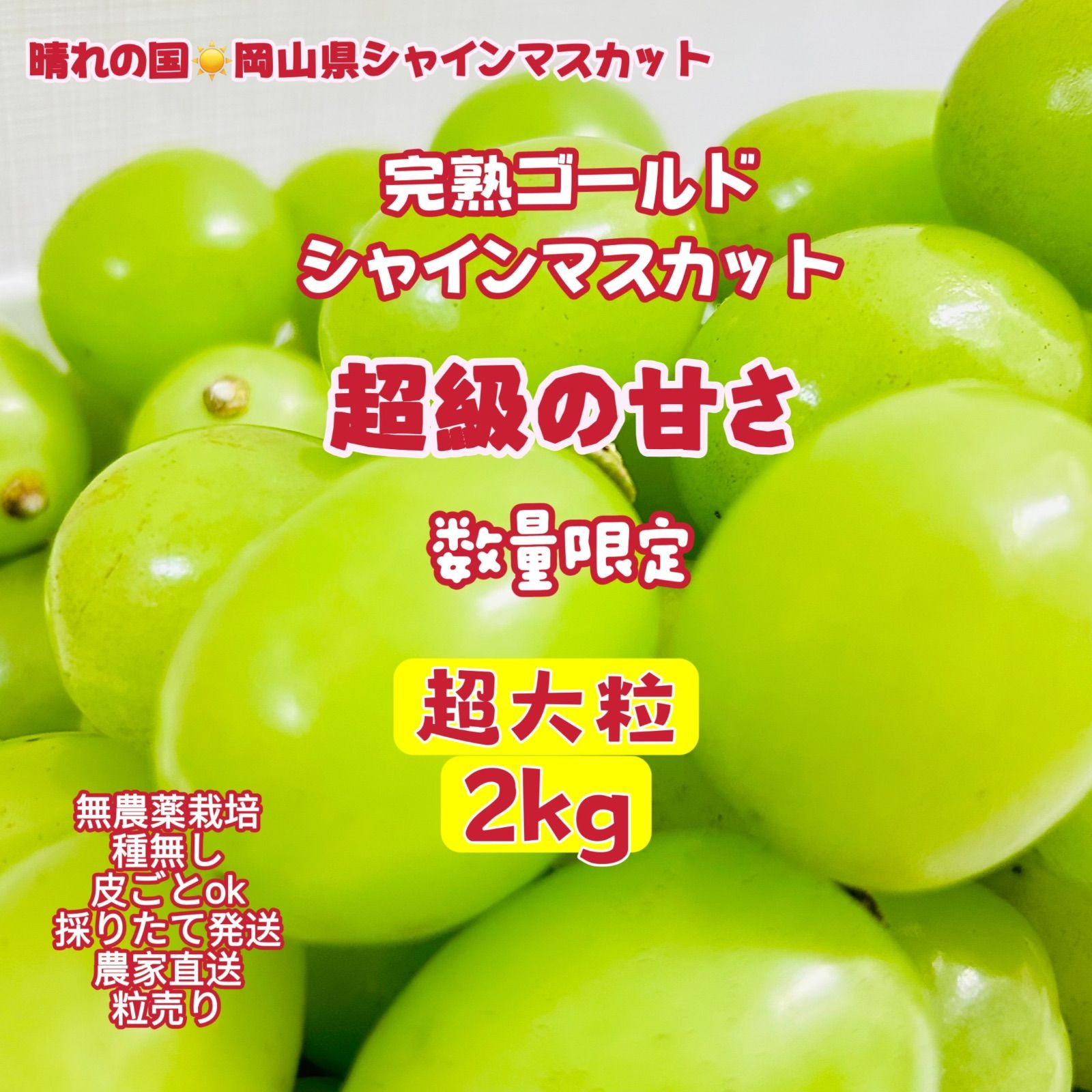岡山シャインマスカ農薬不使用2kg超大粒贈答用プレミアム贅沢な甘さパリッと食感 岡山シャインマスカット 無農薬超大粒2kg 贈答用- メルカリ