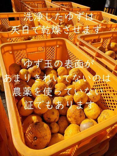 高知県産ゆず酢900ml 6本 クール便込 農薬不使用 - メルカリ