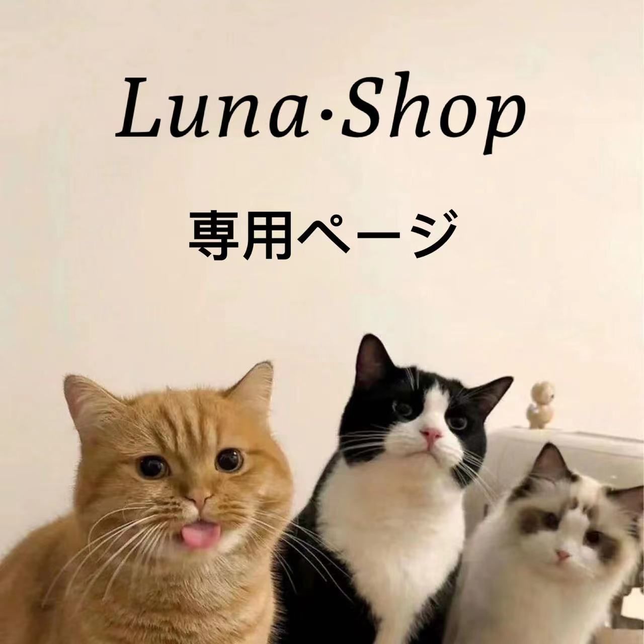 ごんたん様専用ページ ひ～たん様専用 のんたん様、専用 ごんた