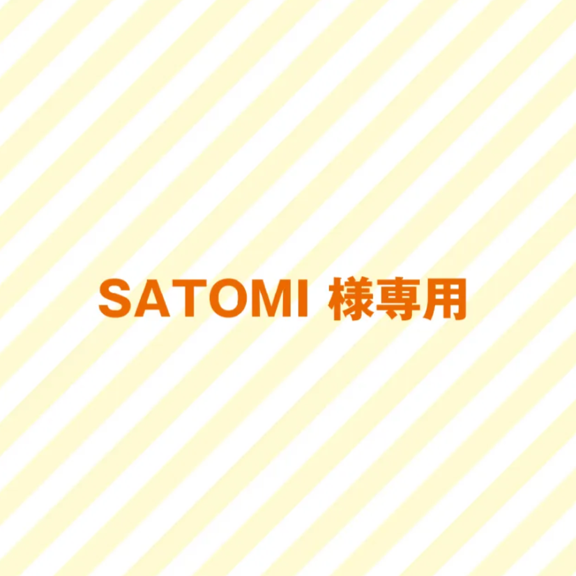 SATOMI様専用ご確認ページ