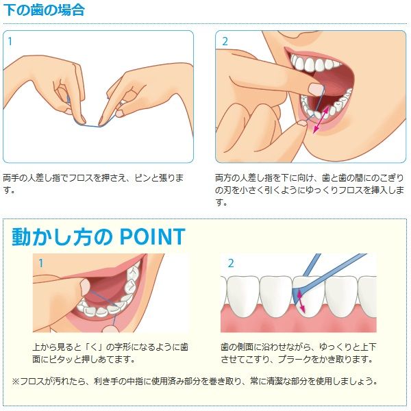 GC ルシェロフロス