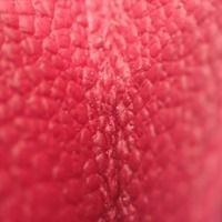 レディース