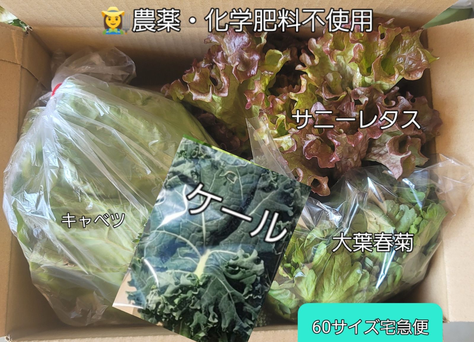 農薬・化学肥料不使用 露地物 お野菜詰め合わせ 60サイズ宅急便でお  