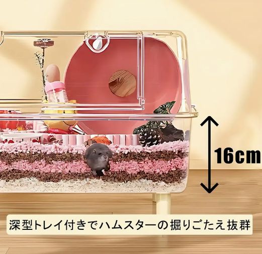 ハムスター モルモット