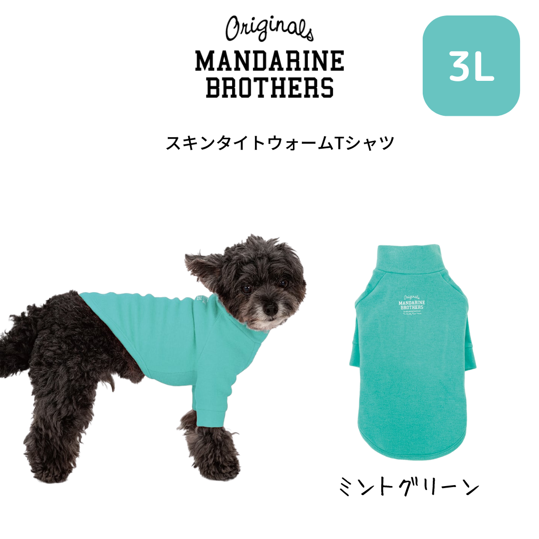 3L】スキンタイトウォームTシャツ ミントグリーン MANDARINBROTHERS ...