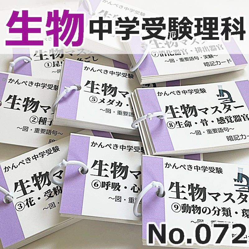 ○【100】中学受験 算数・国語・理科・社会 暗記カードセット