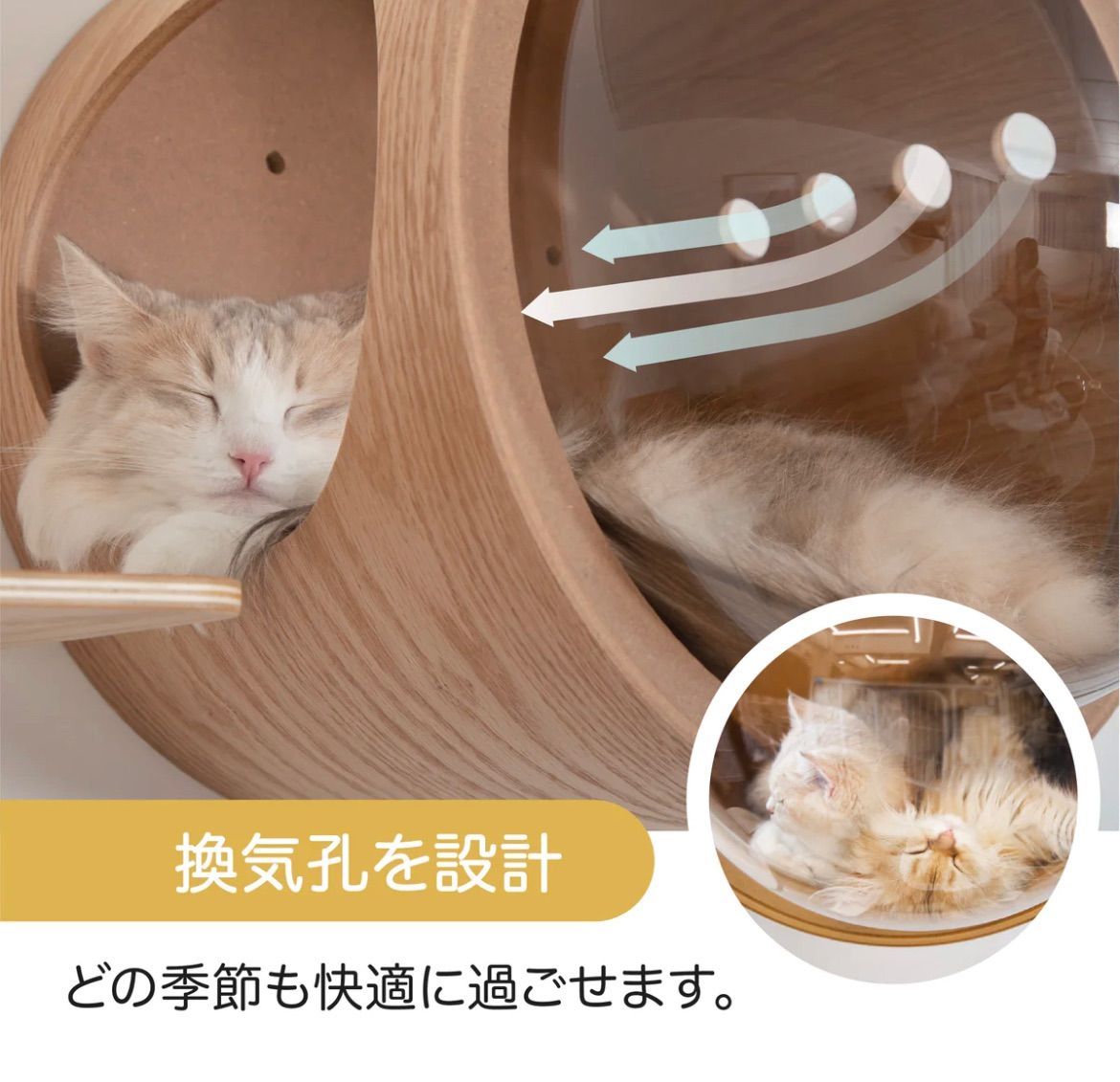 マイズー 宇宙船