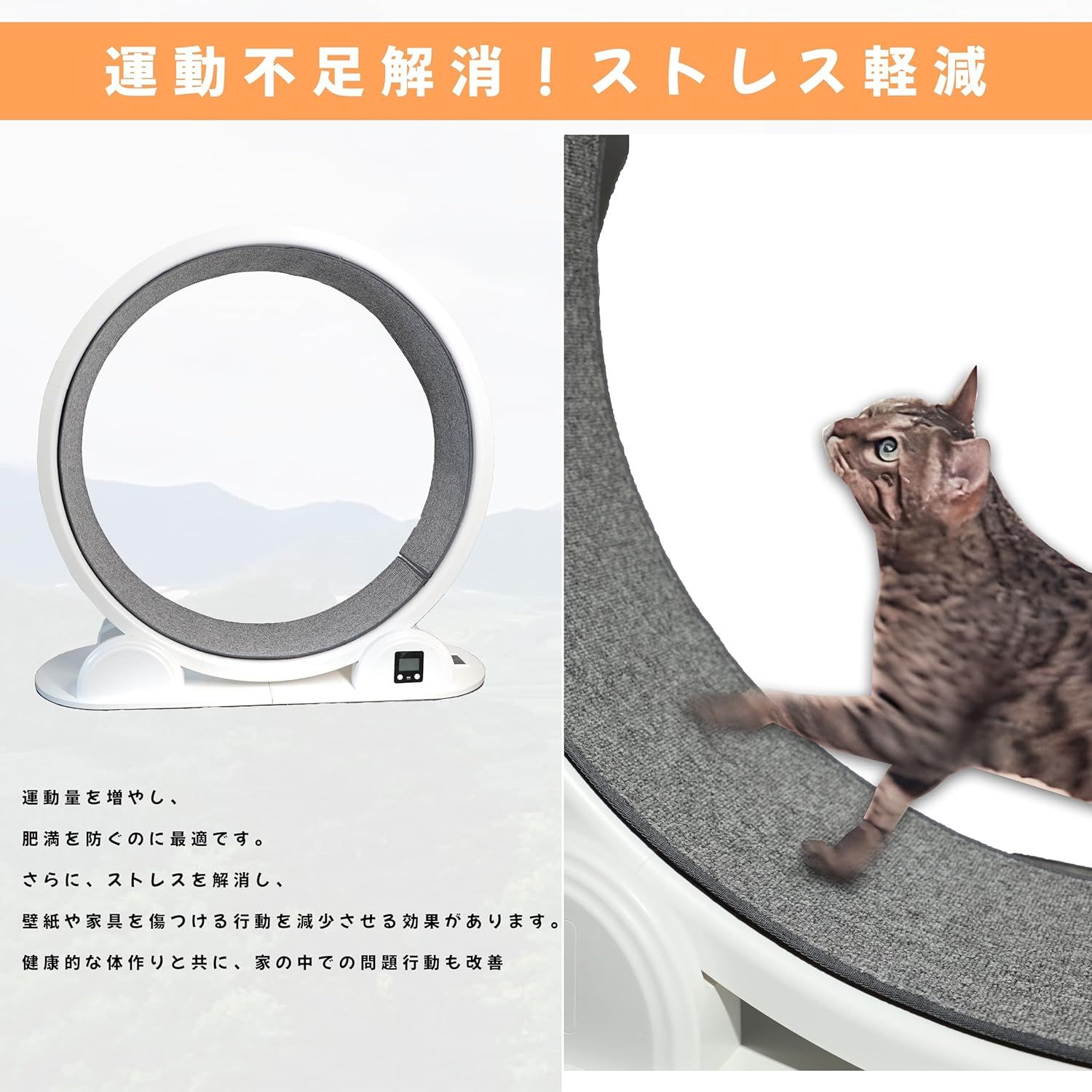 簡単組み立て 運動不足解消