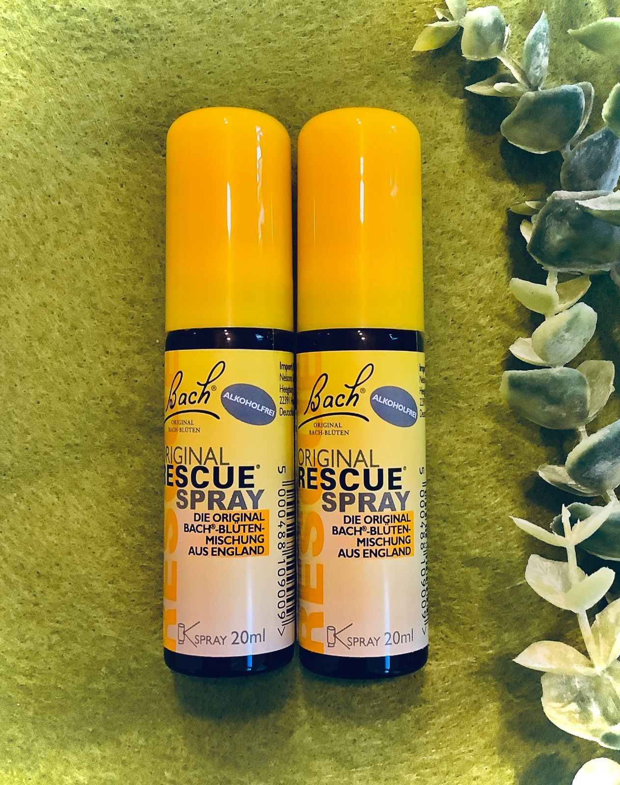 B-CASのみ付属】LG エレクトロニクス 55V型 2018年式