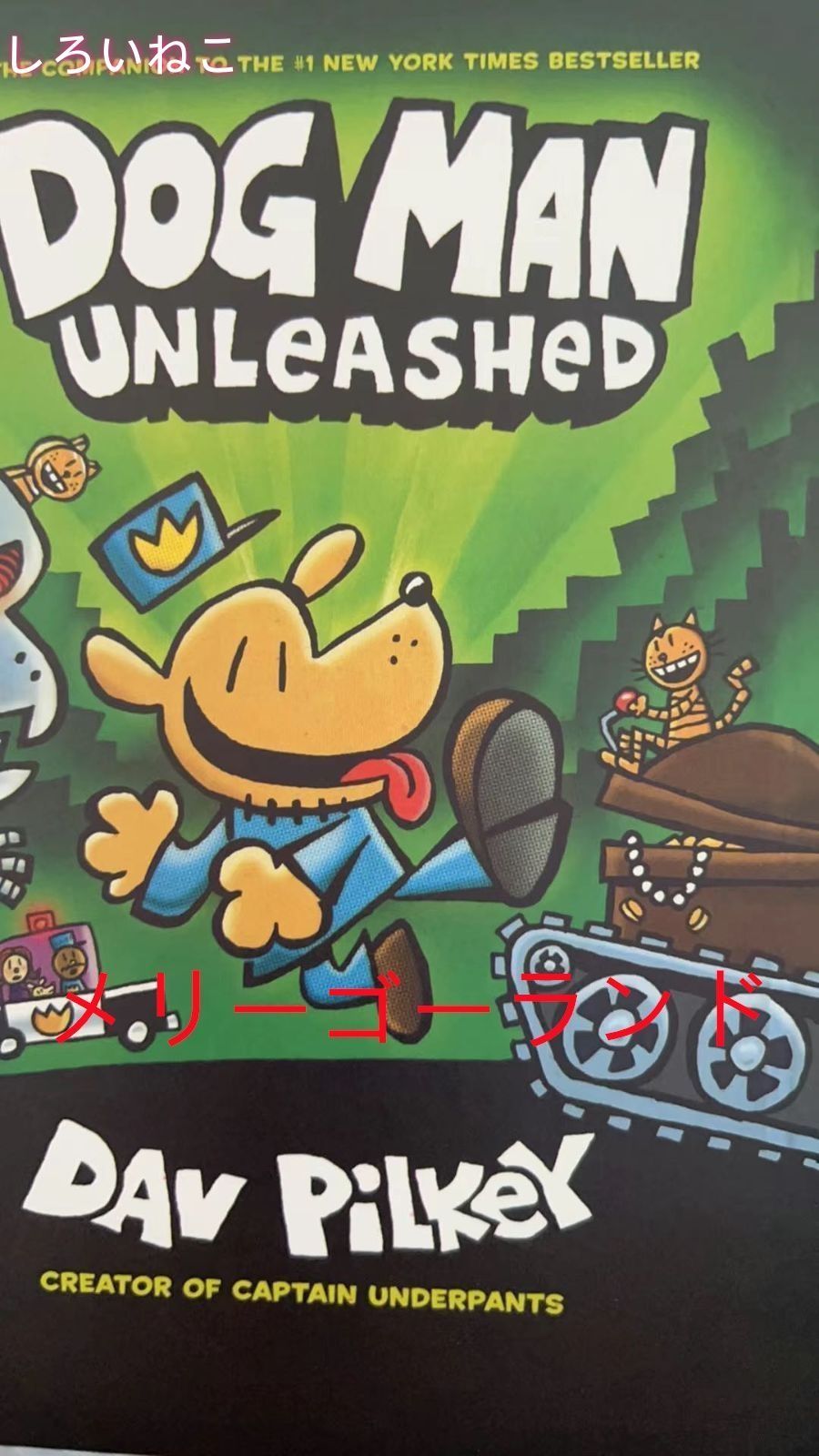 新品 Dog Man Dav Pilkey 17冊 洋書 英語絵本 子ども 大人気