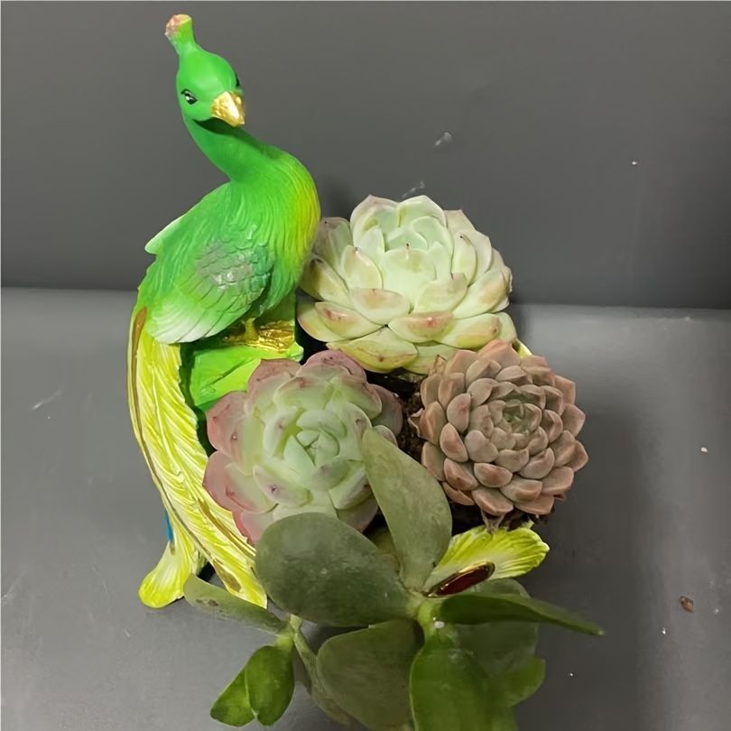 玄関 観