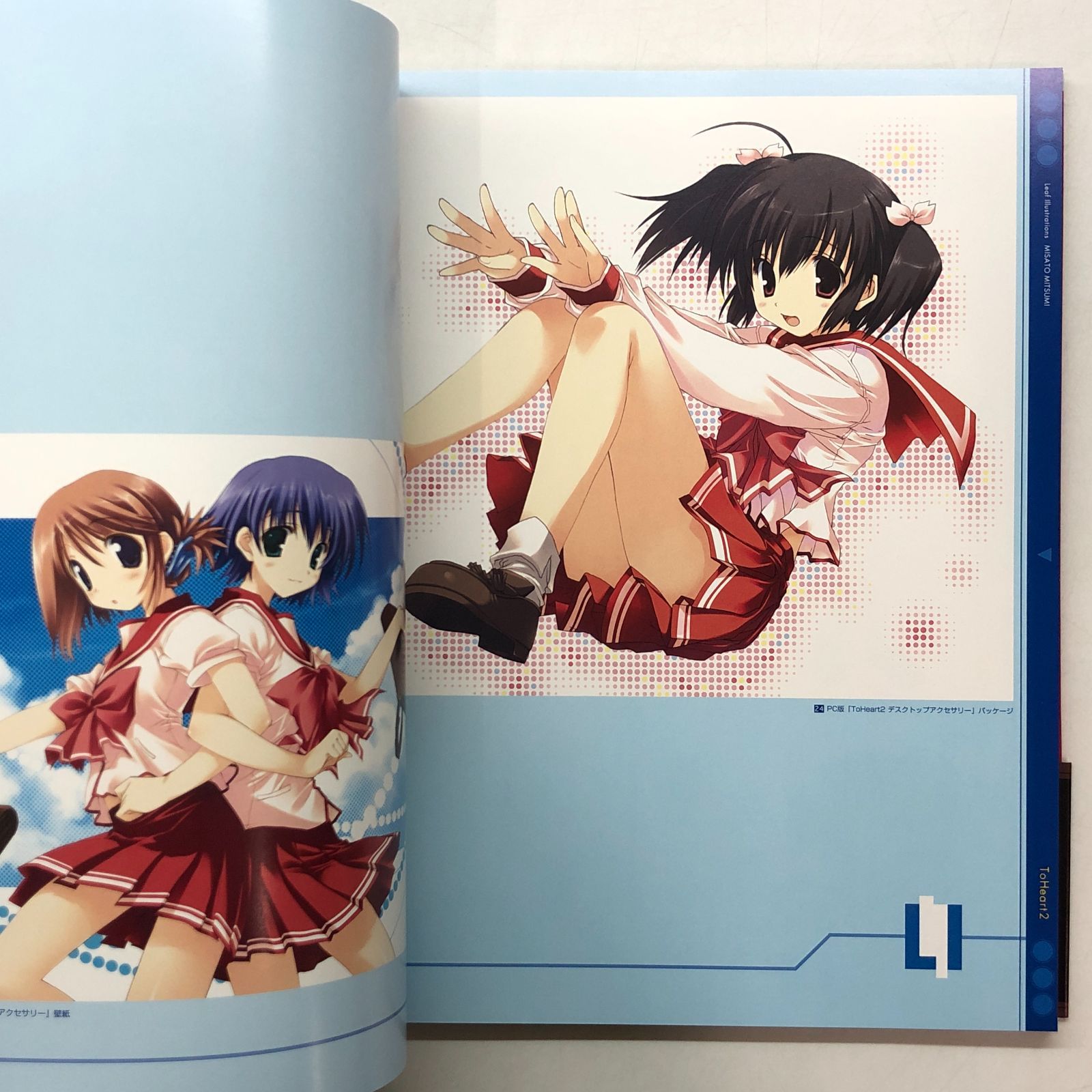 【未使用に近い】【初版？】Leaf Illustrations　みつみ美里 Leaf Illustrations ビビットカラー 甘露樹 みつみ美里 画集