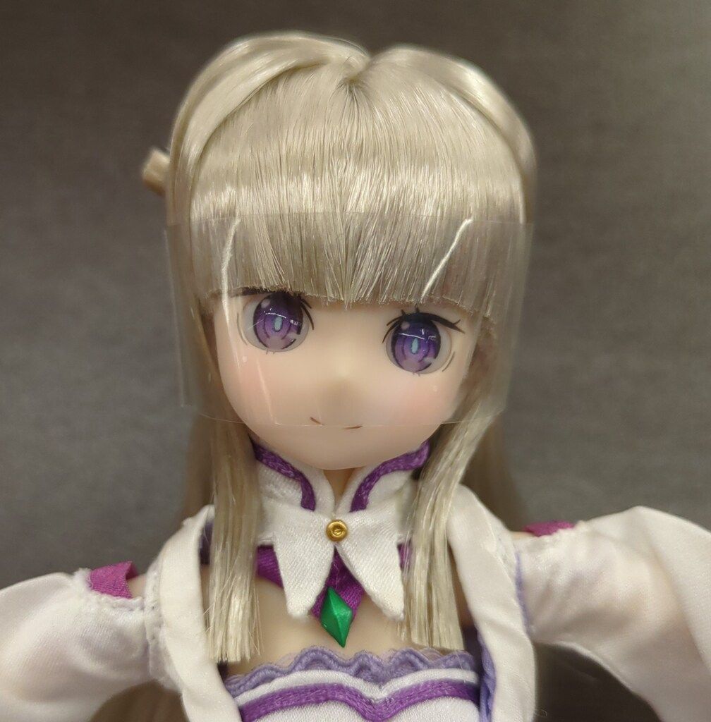 アゾン ピュアニーモキャラクターシリーズ Re ゼロから始める異世界生活 エミリア 143 WWW_STEELWINDOWSANDDOORS_COM