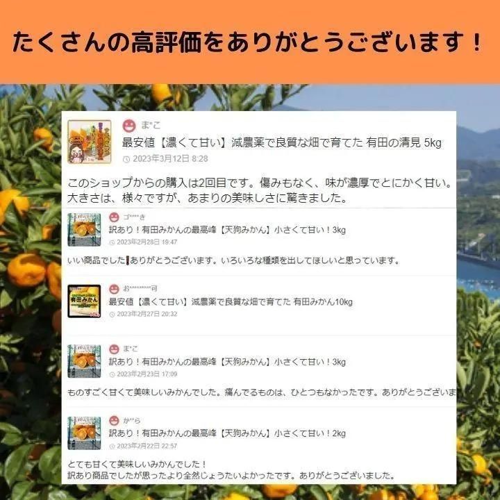 ミカン 蜜柑