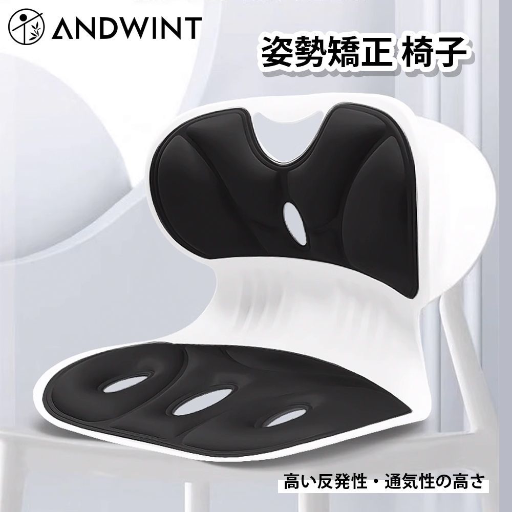 新春 SALE・送料無料」 姿勢矯正 椅子 ランバーサポート 背筋