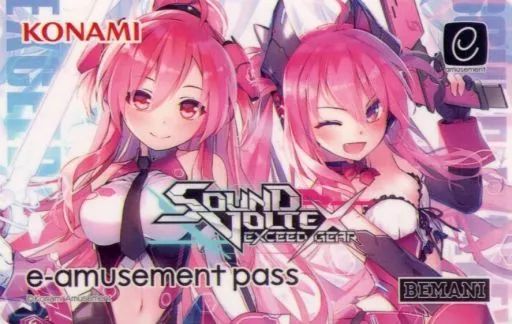 【新品】e-amusement pass レイシス&グレイス e-amusement pass レイシス グレイス sdvx