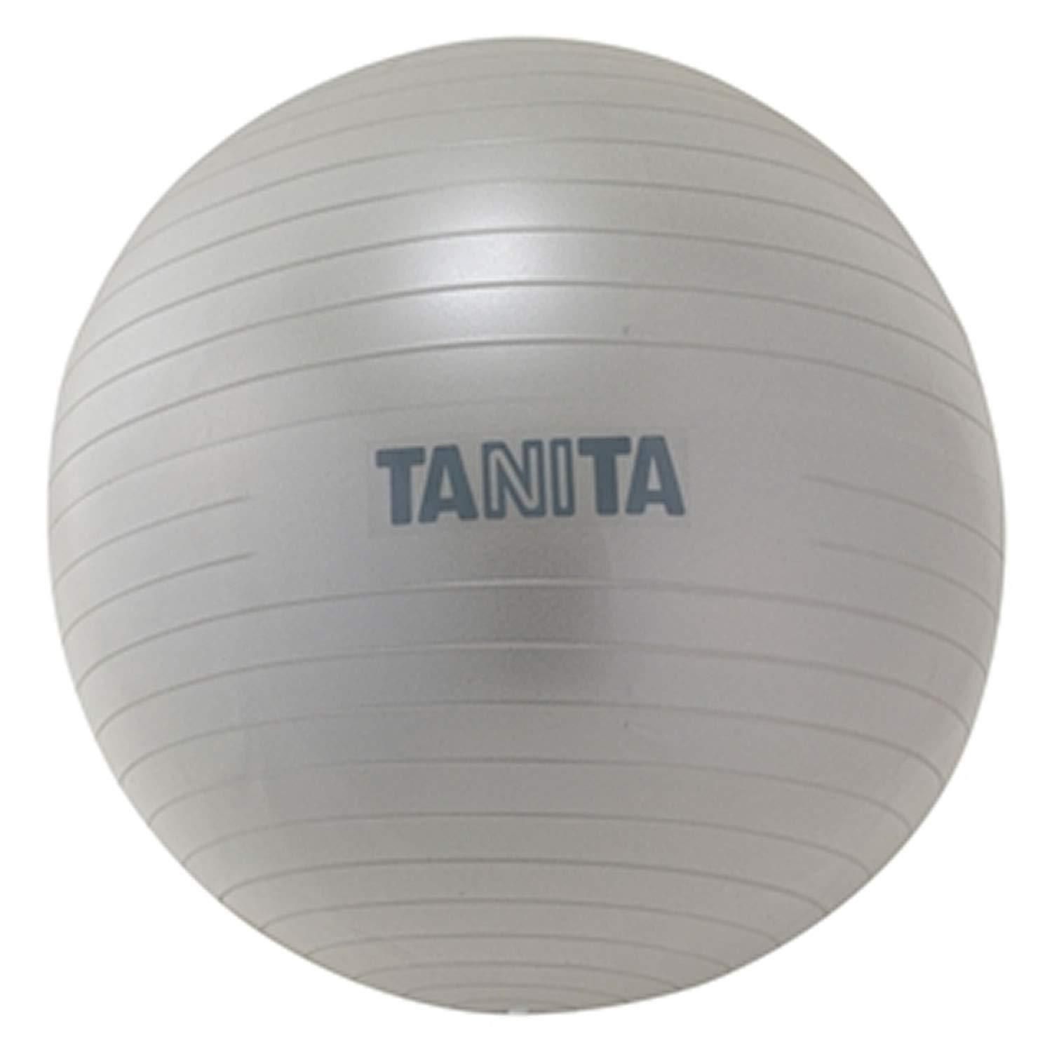 【新品・2営業日で発送】TANITA タニタ タニタ タニタサイズ ジムボール シルバー TS-962-SV