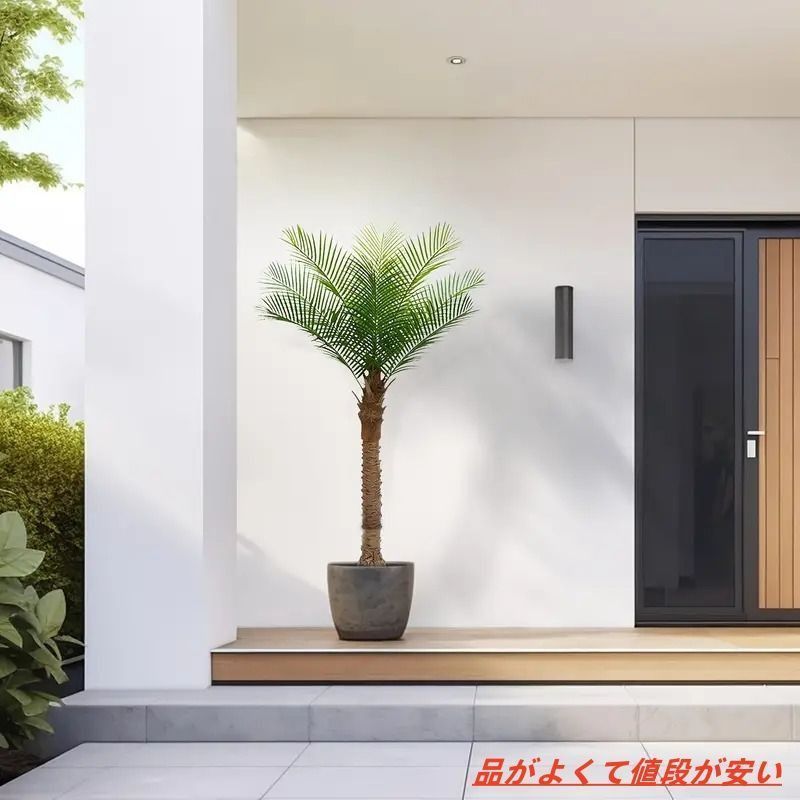 屋外 庭