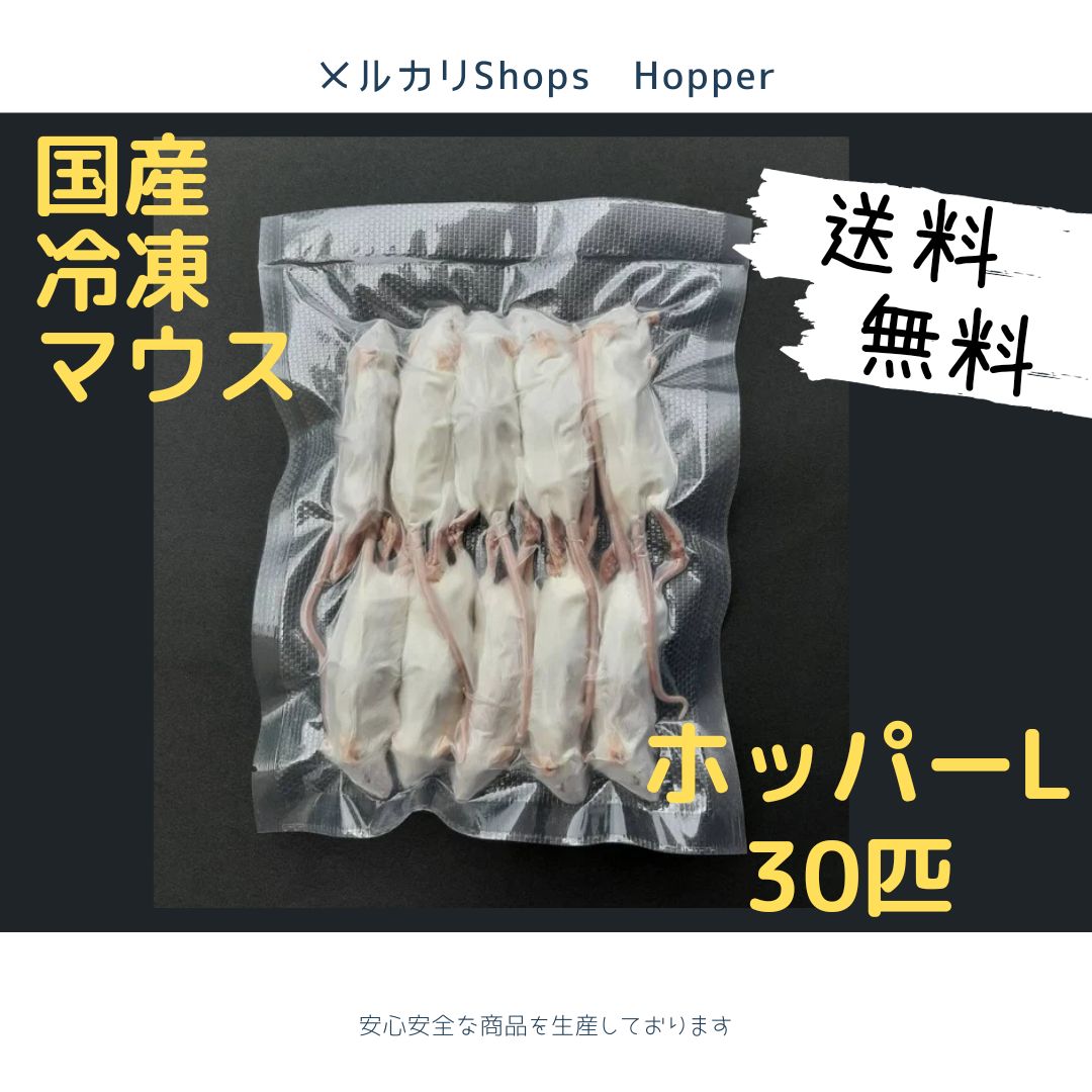 国産 冷凍マウス ピンクL 100匹 (地域限定送料無料) - 爬虫類・両生類 