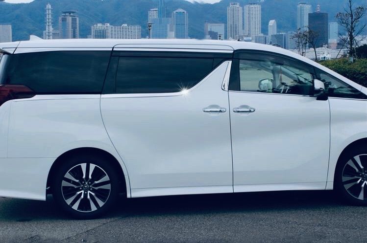 ヴェルファイア30系 アルファード30系 サイドガーニッシュ