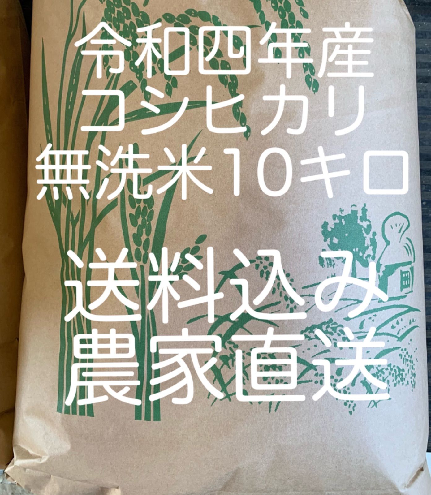 令和4年産　100%栃木県産　コシヒカリ　10キロ-0