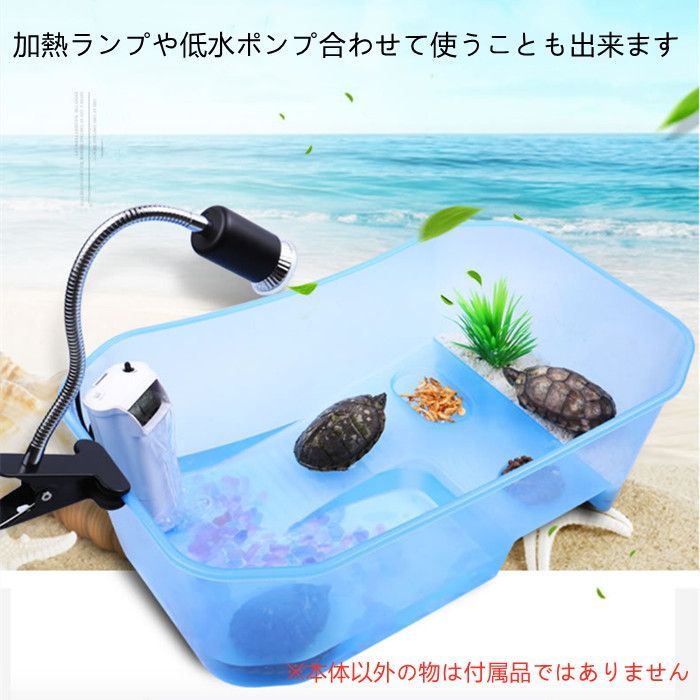 日向ぼっこ台 ミドリガメ