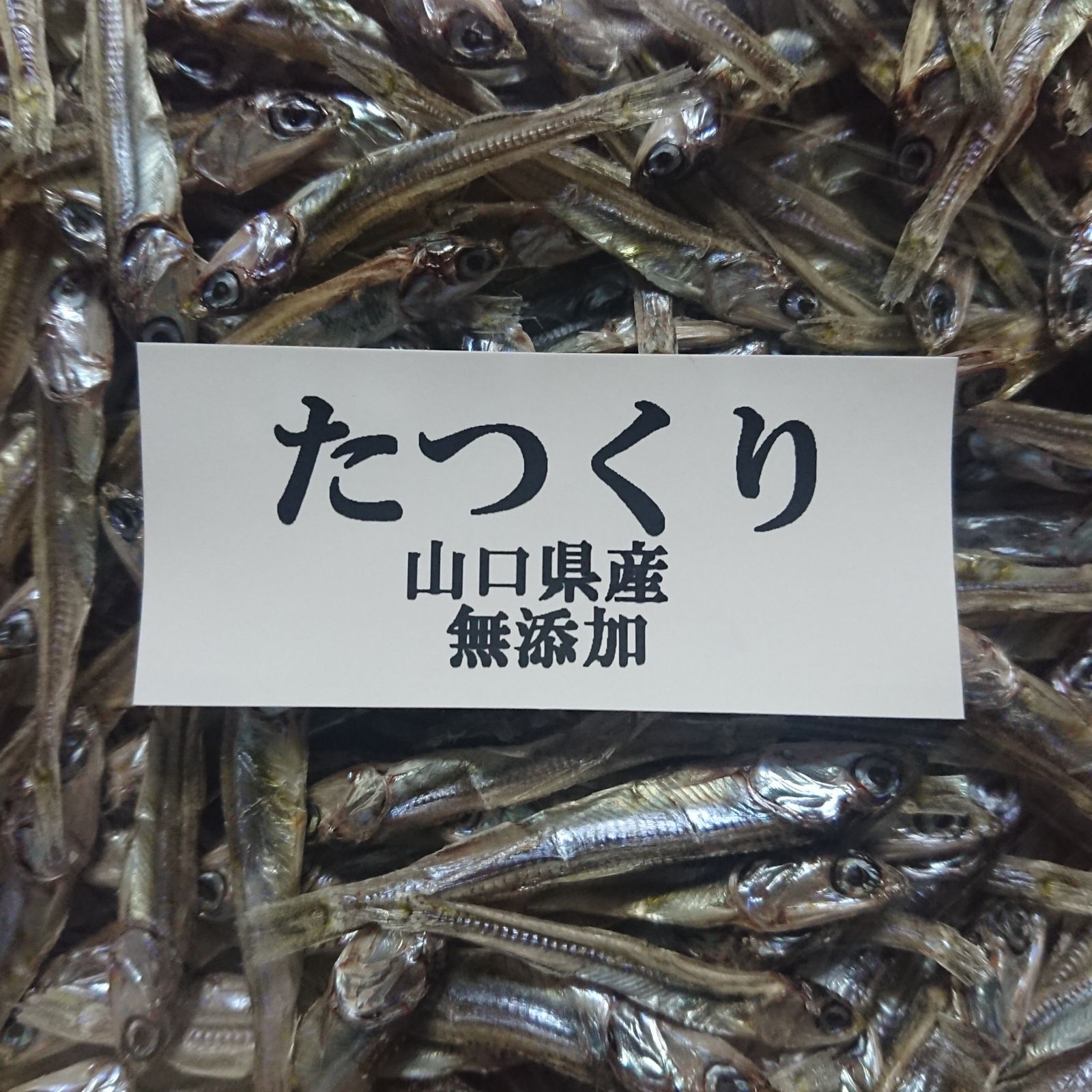 おせち料理に！ 山口県産 たつくり 100g(50g×2袋) 大特価！ - 魚介類