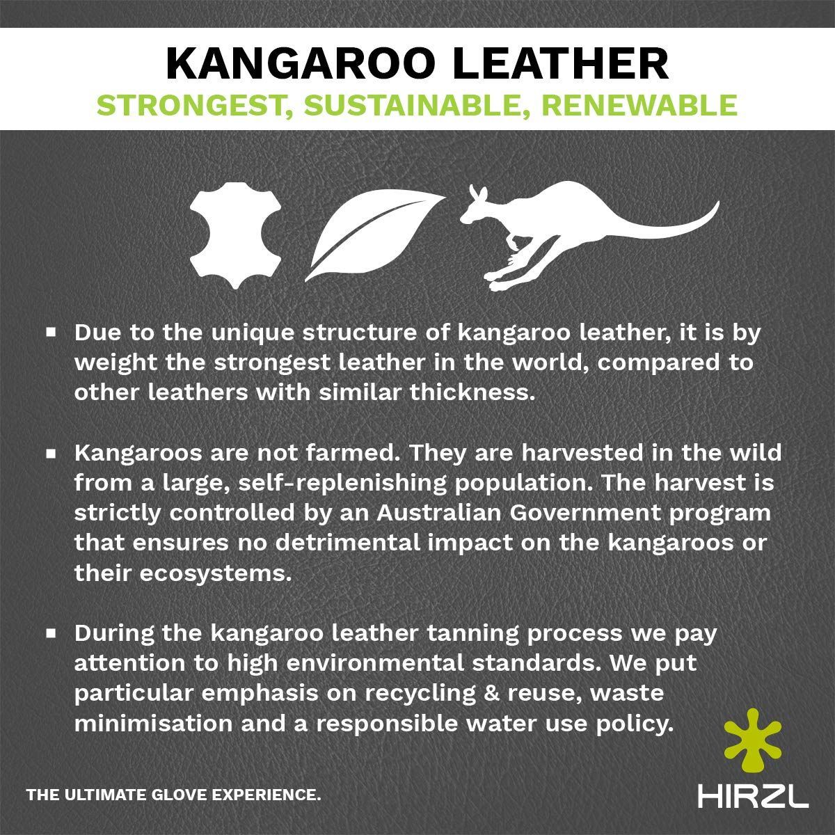 グローブ ハーツェル