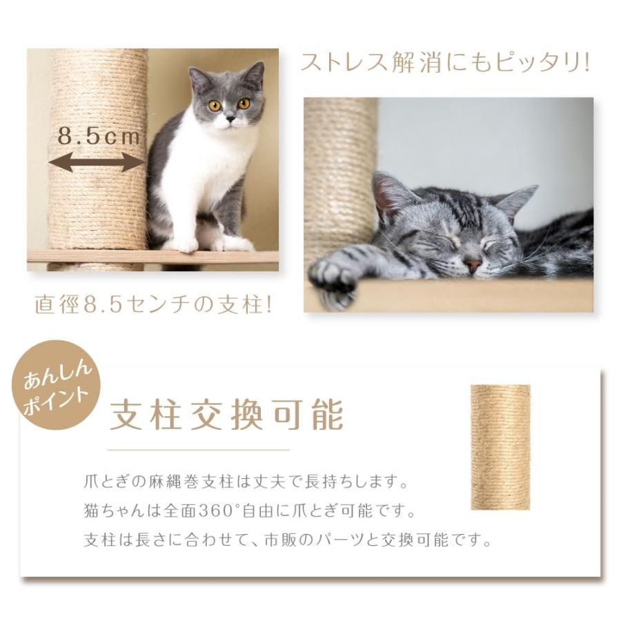 安定性抜群 猫ハウス