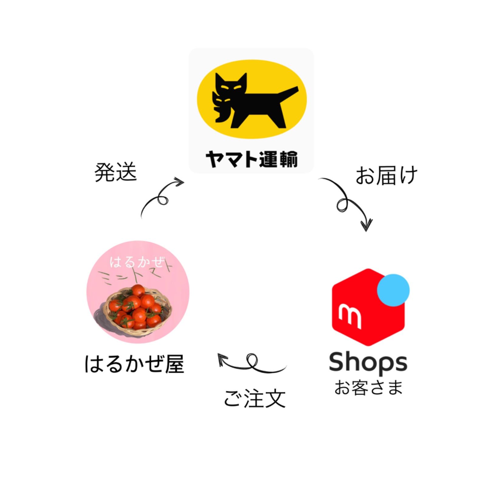 【高糖度】完熟ミニトマトはるかぜ1kg　北海道沖縄専用-3