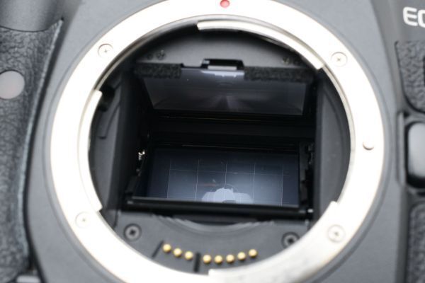 Canon キャノン EOS-1Ds Mark III DS126161 ボディ AFデジタル Canon キャノン EOS-1Ds Mark III DS126161 ボディ AFデジタル